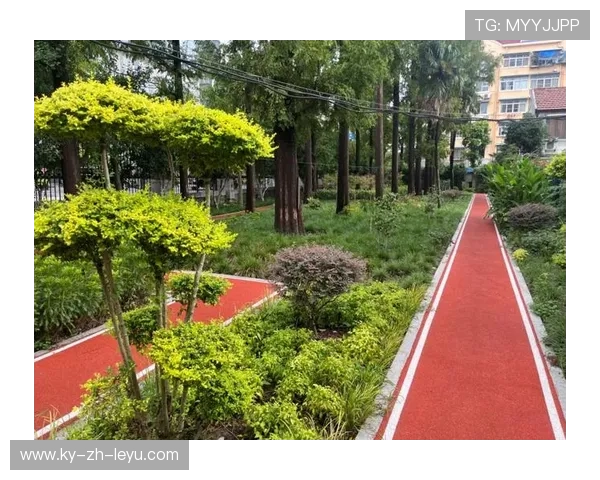 _城市健身公园：全民运动的绿色空间_，健康城市健身俱乐部