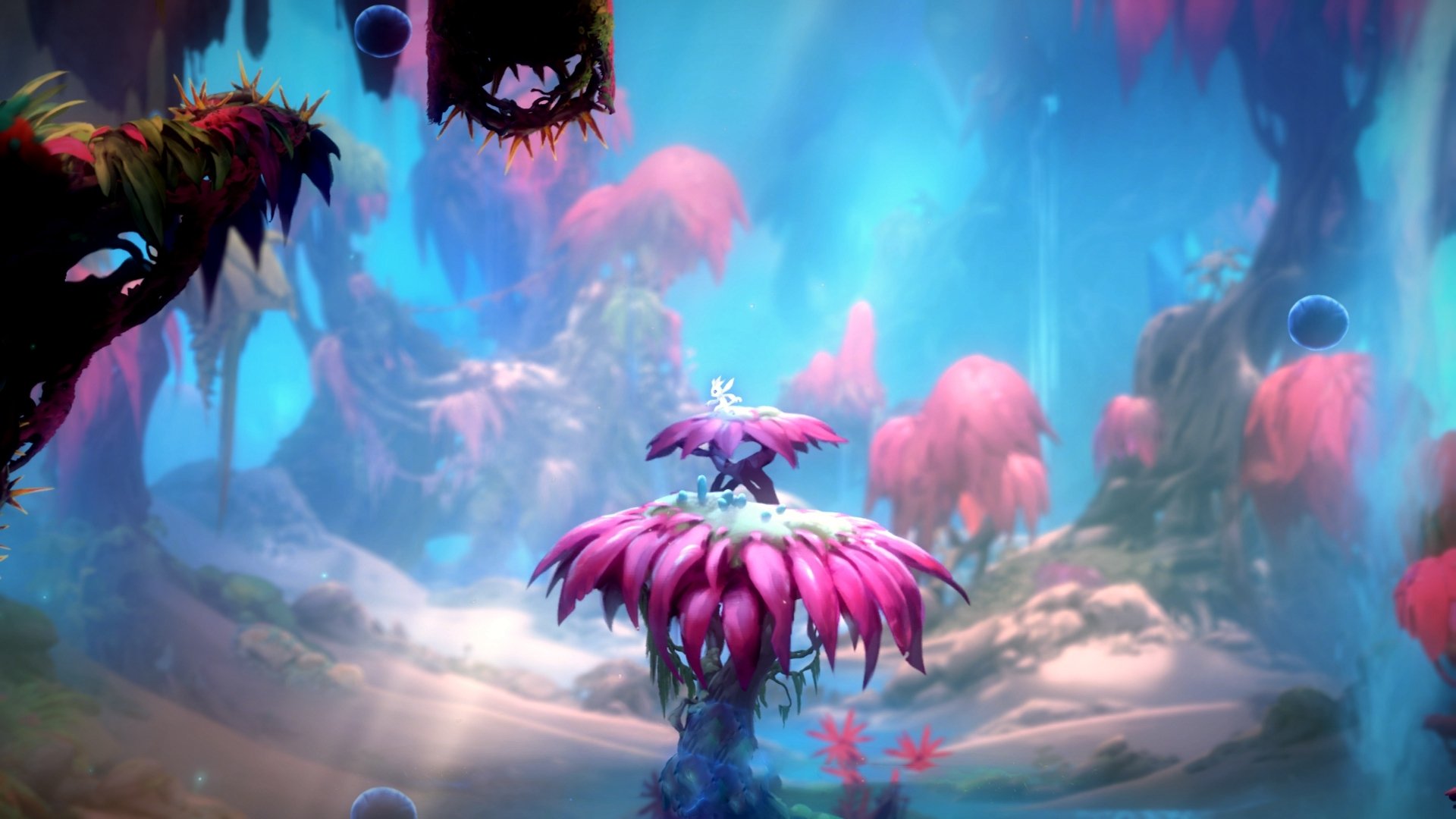 乐鱼体育APP官方下载-基层教练评聘机制与执教质量脱节，教练员职称评定