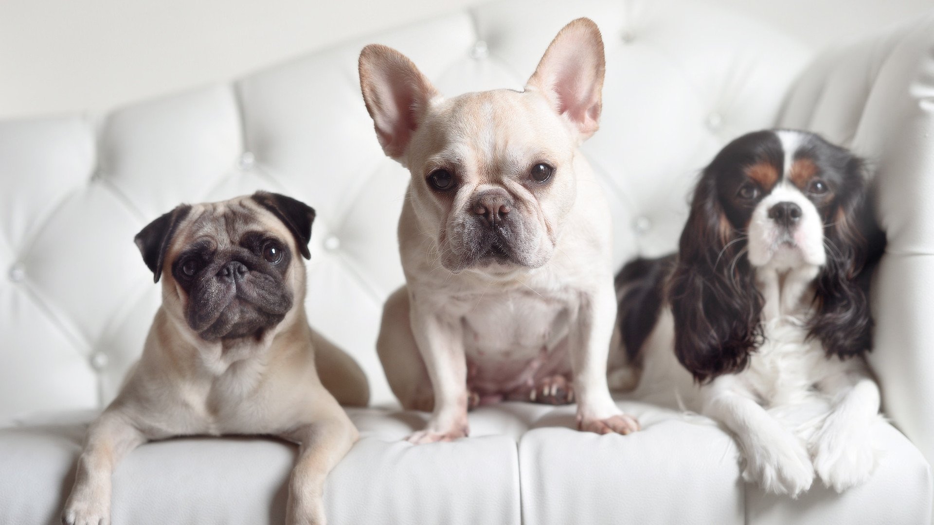 乐鱼vip-曼城5‑2横扫尤文，无情终结小组赛排名首位