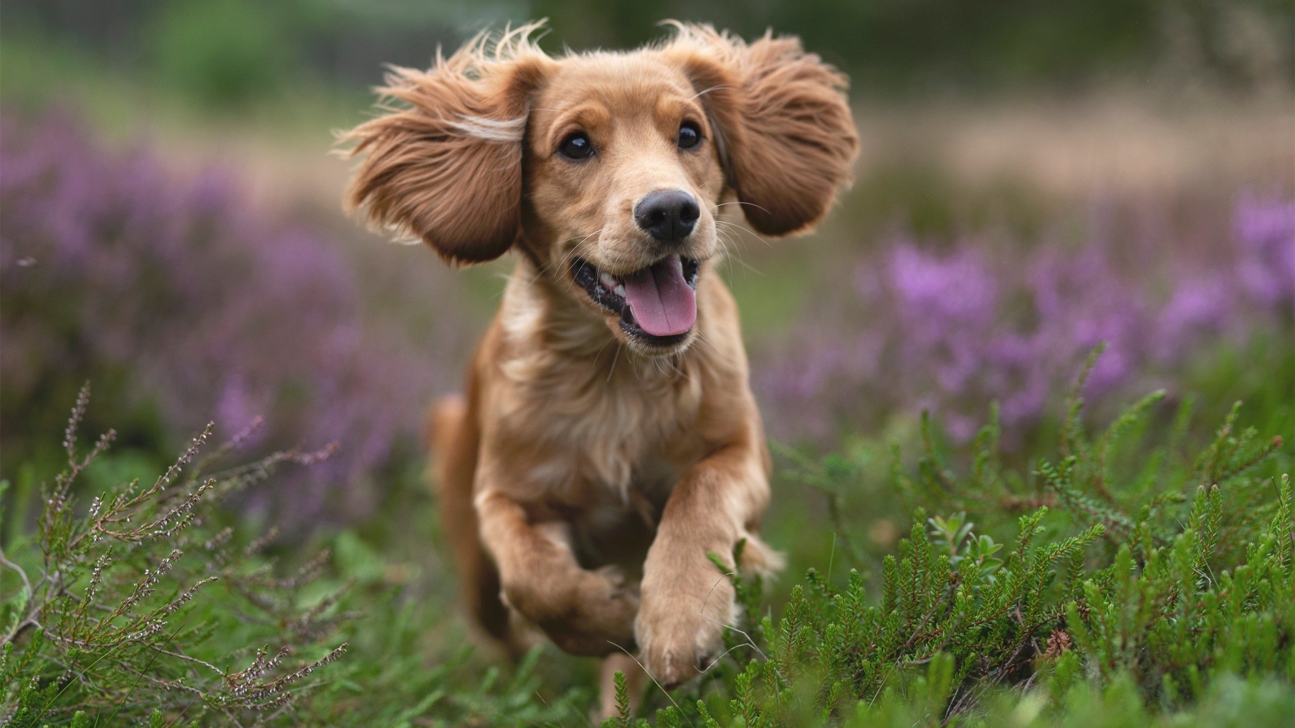 田径竞赛首次引入无人车辅助测量,无人车辆路径规划
