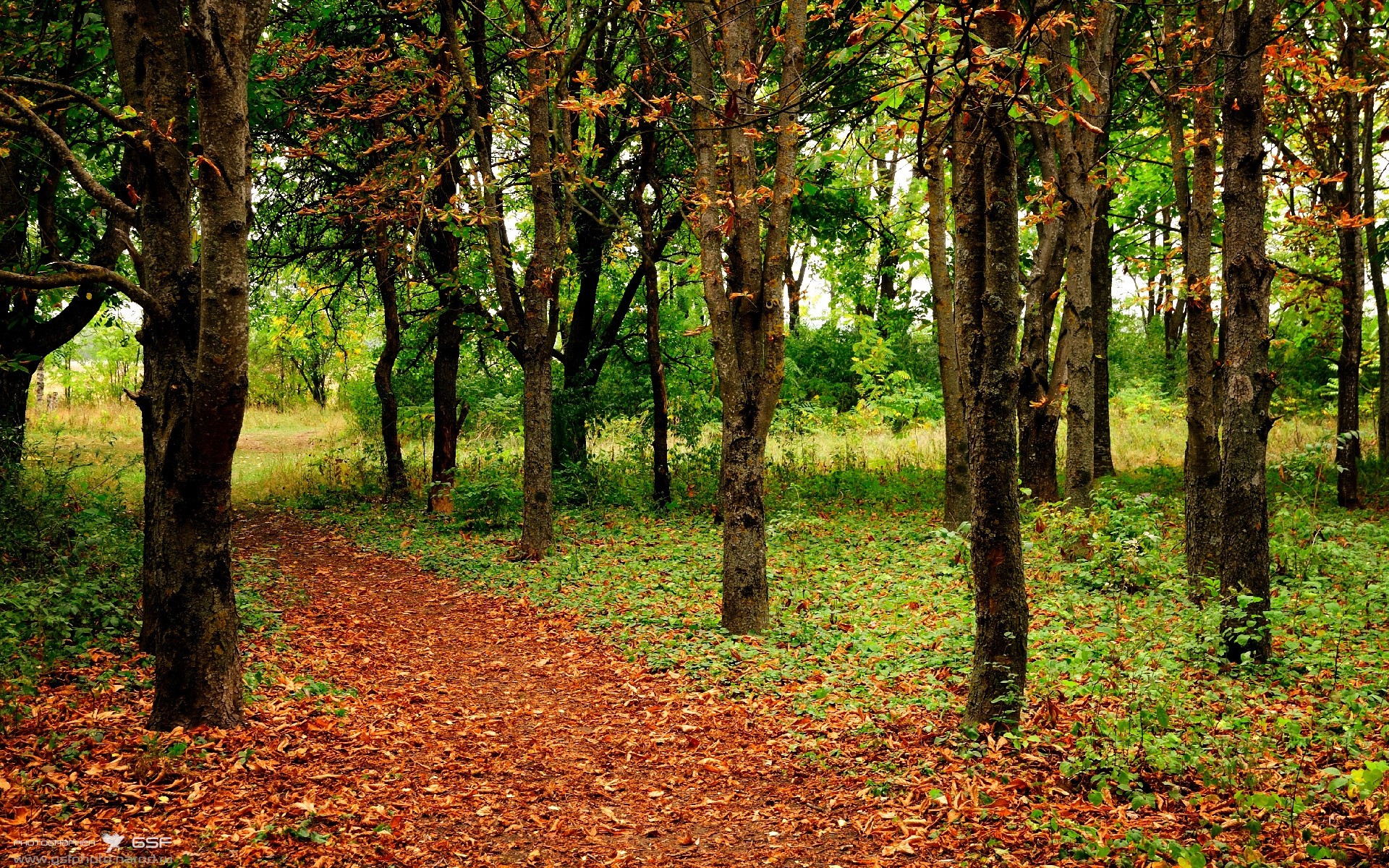 乐鱼体育平台app下载-罗马尼亚队表现令人惊艳：国际乒联混合团体世界杯赛场回顾，罗马尼亚乒乓球运动员男