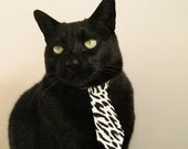 花样滑冰队重点加强自由滑音乐表现训练,花样滑冰步法和自由滑考级