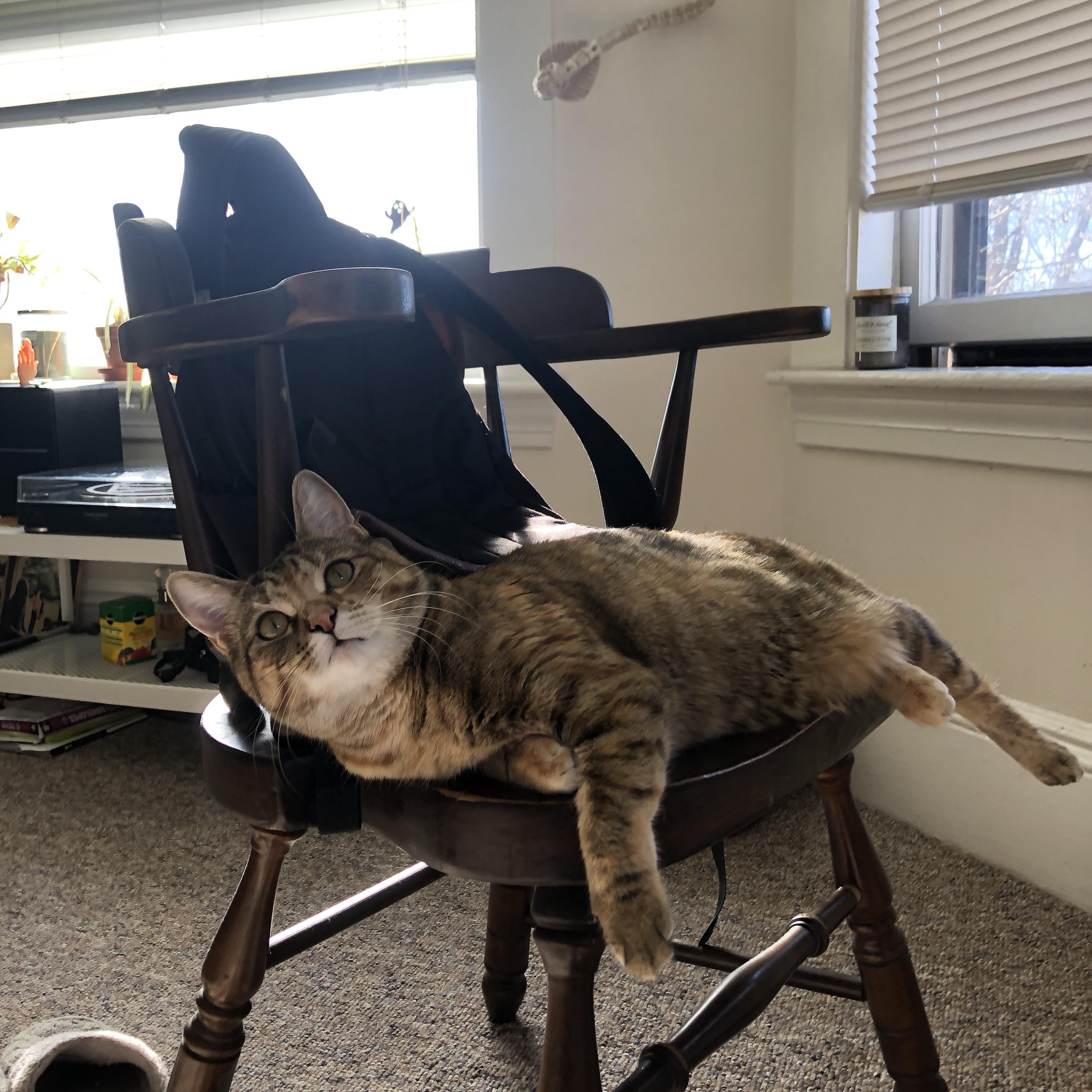 leyu.com-裁判考核系统实行分级动态评估机制，裁判评判