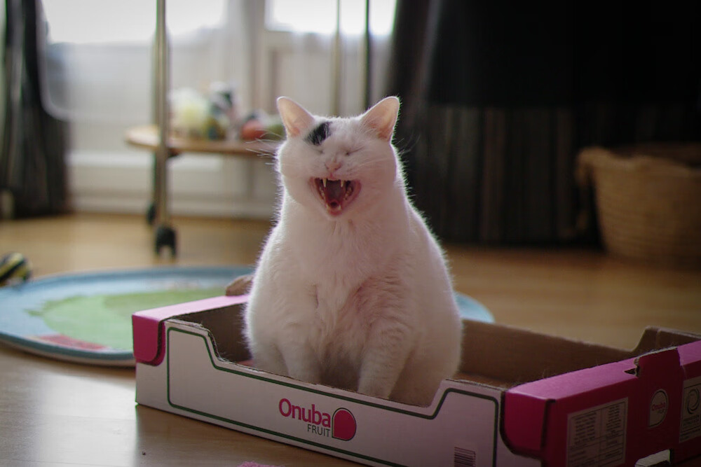 乐鱼电竞在线平台-青训课程忽略战术思维训练