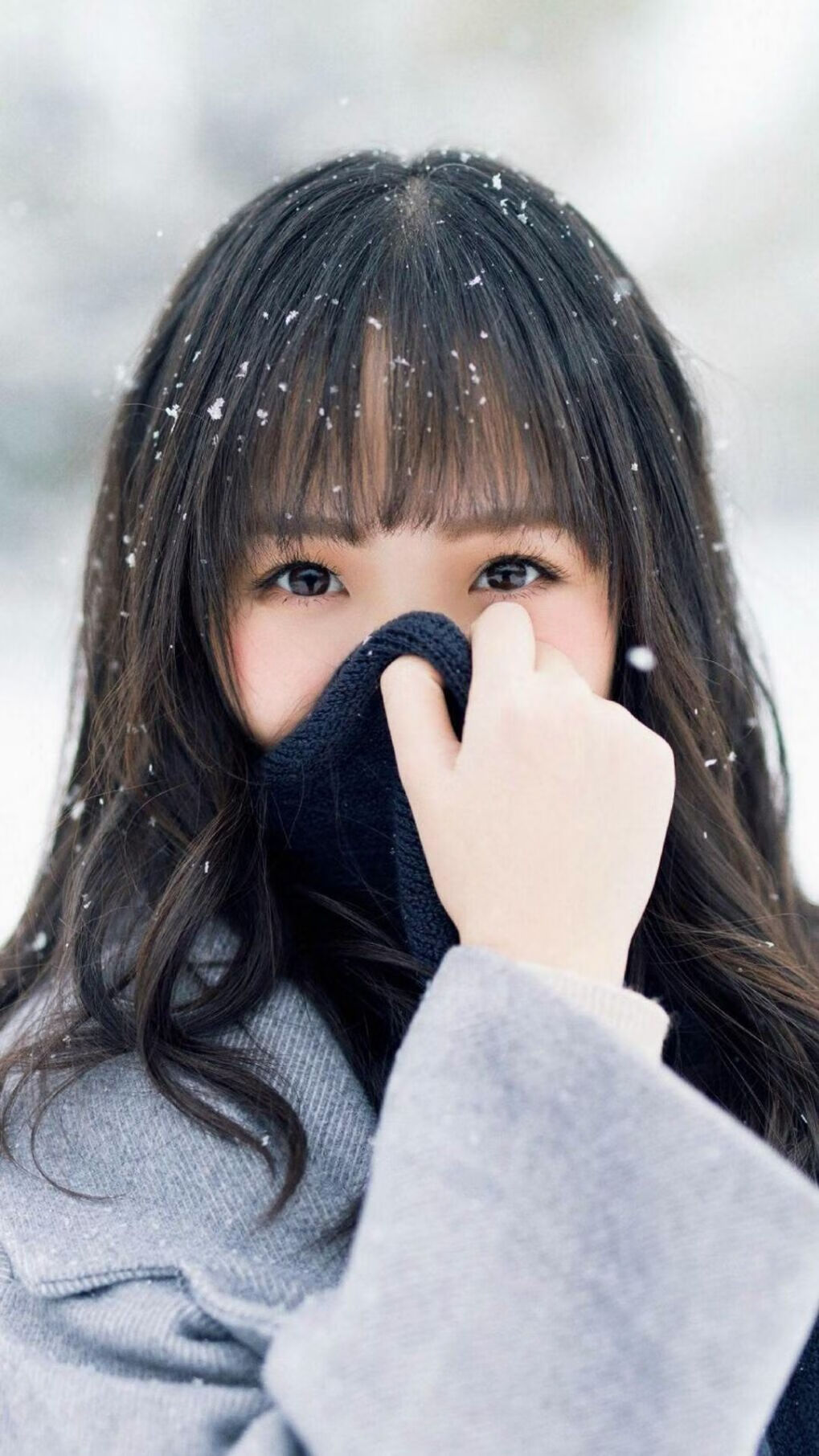 APP下载 LY Sports-“尼古拉斯·桑特基的精准脚法，助力美洲狮队成为全球橄榄球新霸主”