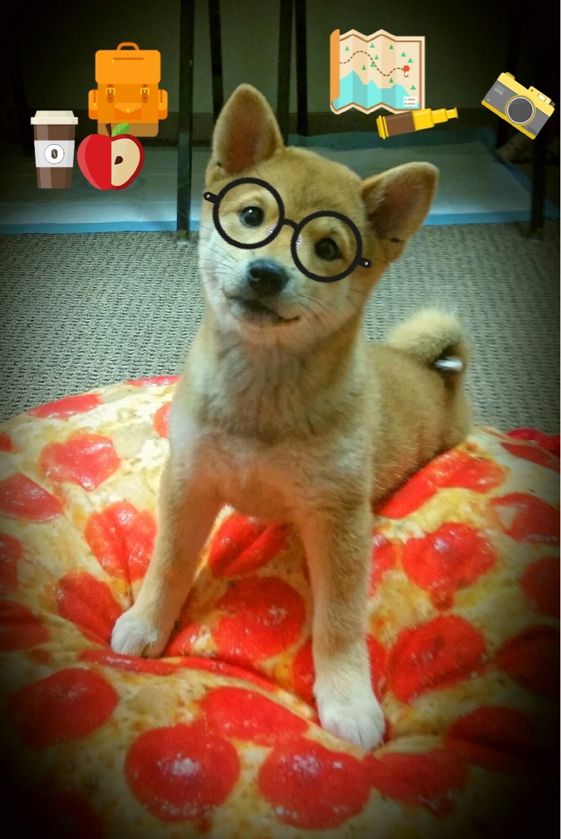 世界杯精彩瞬间:动人心弦,令人难忘!,世界杯震撼的场景