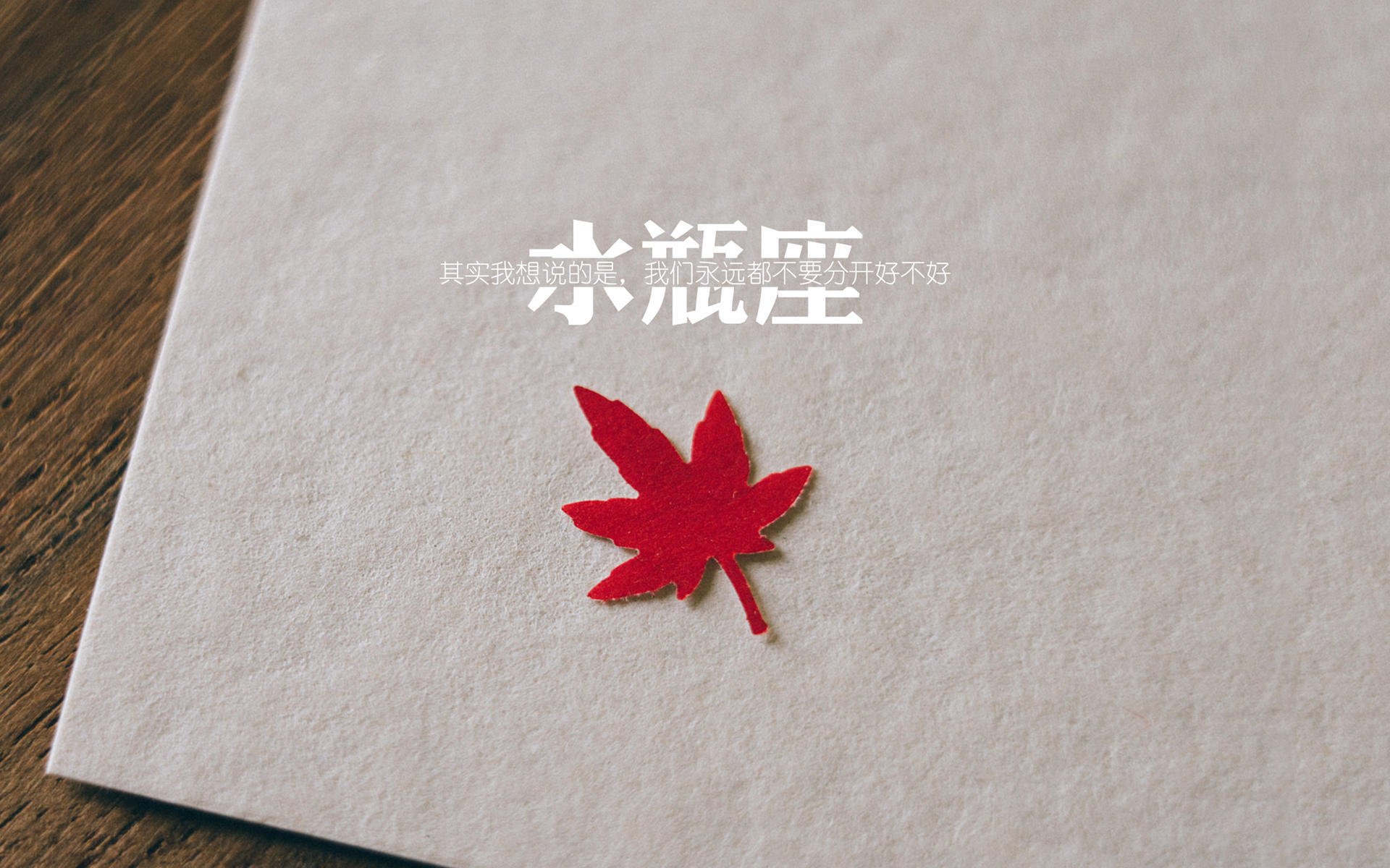 中国足球国家队推进数据分析与教练配合机制,国家足球队教练有哪些