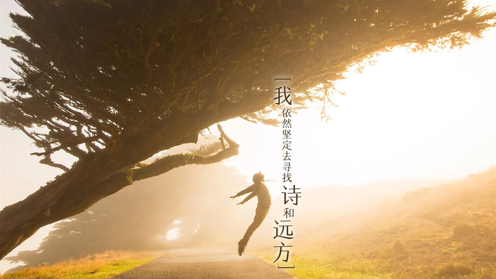 乐鱼官网-全球体育产业新趋势 数字化发展加速，2021全球体育数字化转型研讨会