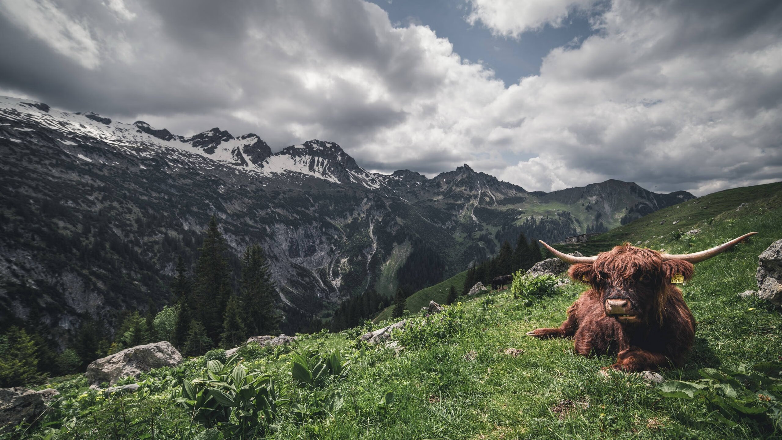 Leyu Sport下载-国际足球赛事实现无人机全景拍摄，视觉体验突破，无人机足球比赛规则