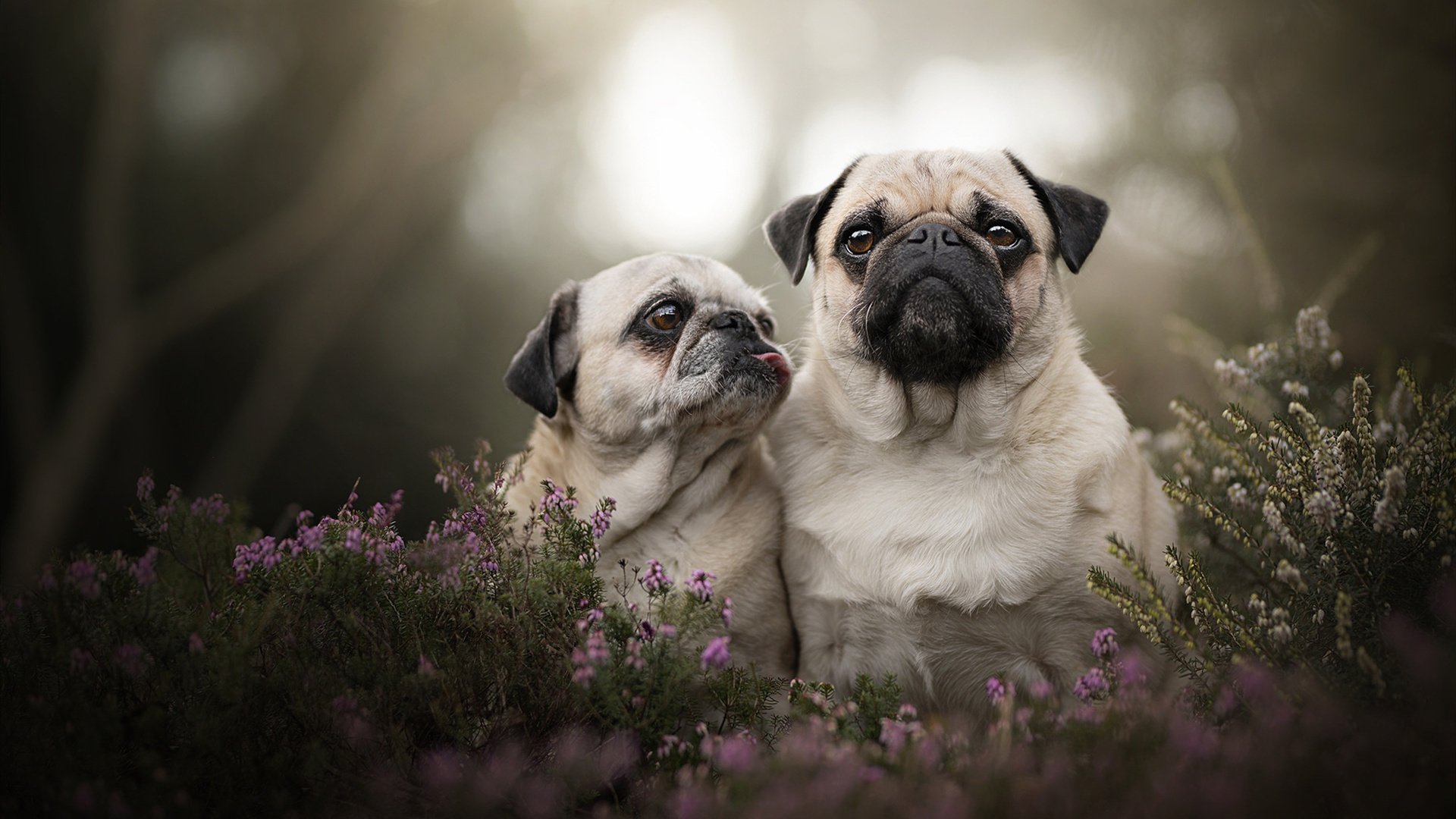 快攻战术与阵地进攻相结合,节奏掌控良好,快攻战术的特点