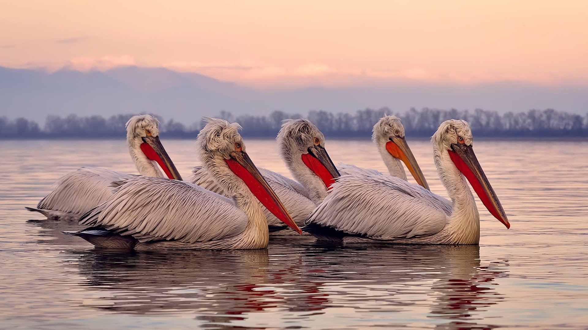 意甲领头羊对决:战术对抗中的精彩对攻,意甲头牌