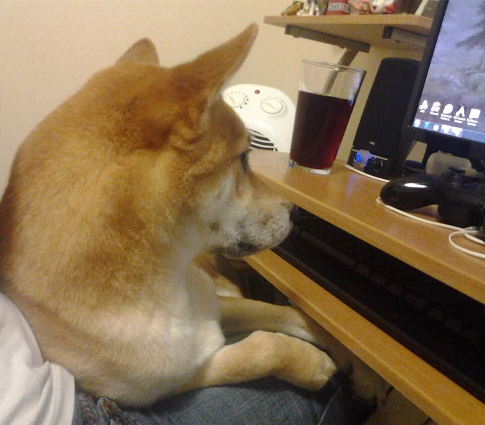 乐鱼电竞-日本球队在亚洲赛事中保持强势，志在突破