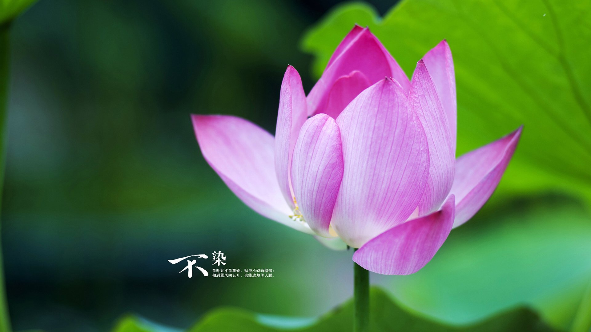 乐鱼体育平台官网-科斯冲刺阶段爆发力惊艳全场，科斯介绍