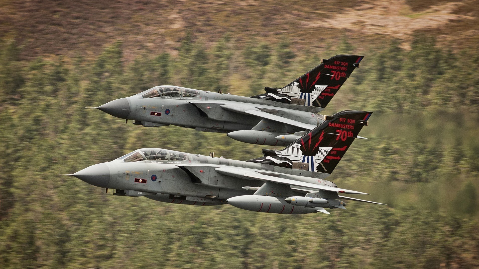 乐鱼体育App下载-美洲杯激情飙升：明星点燃全场！，美洲杯精彩集锦