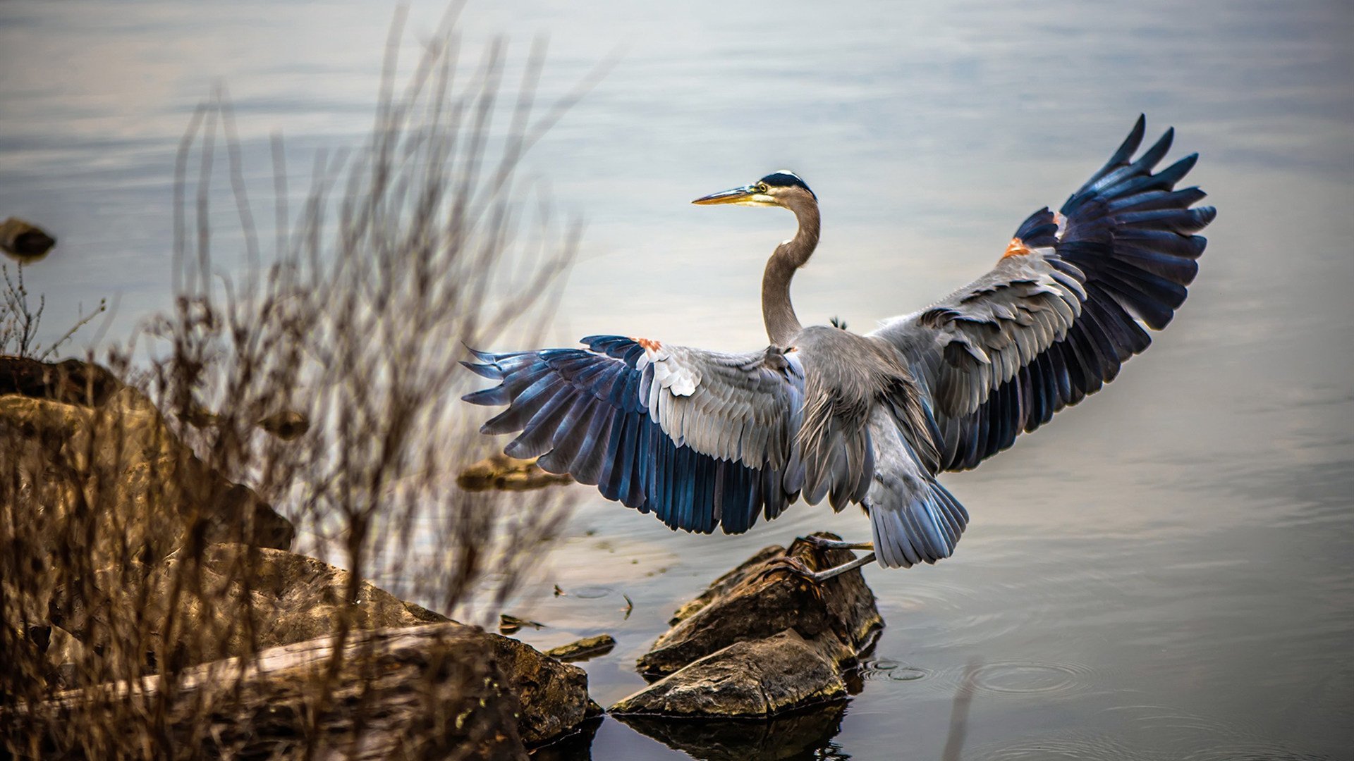 一年减重70斤，冯珊珊“躺着瘦”的减重策略解读