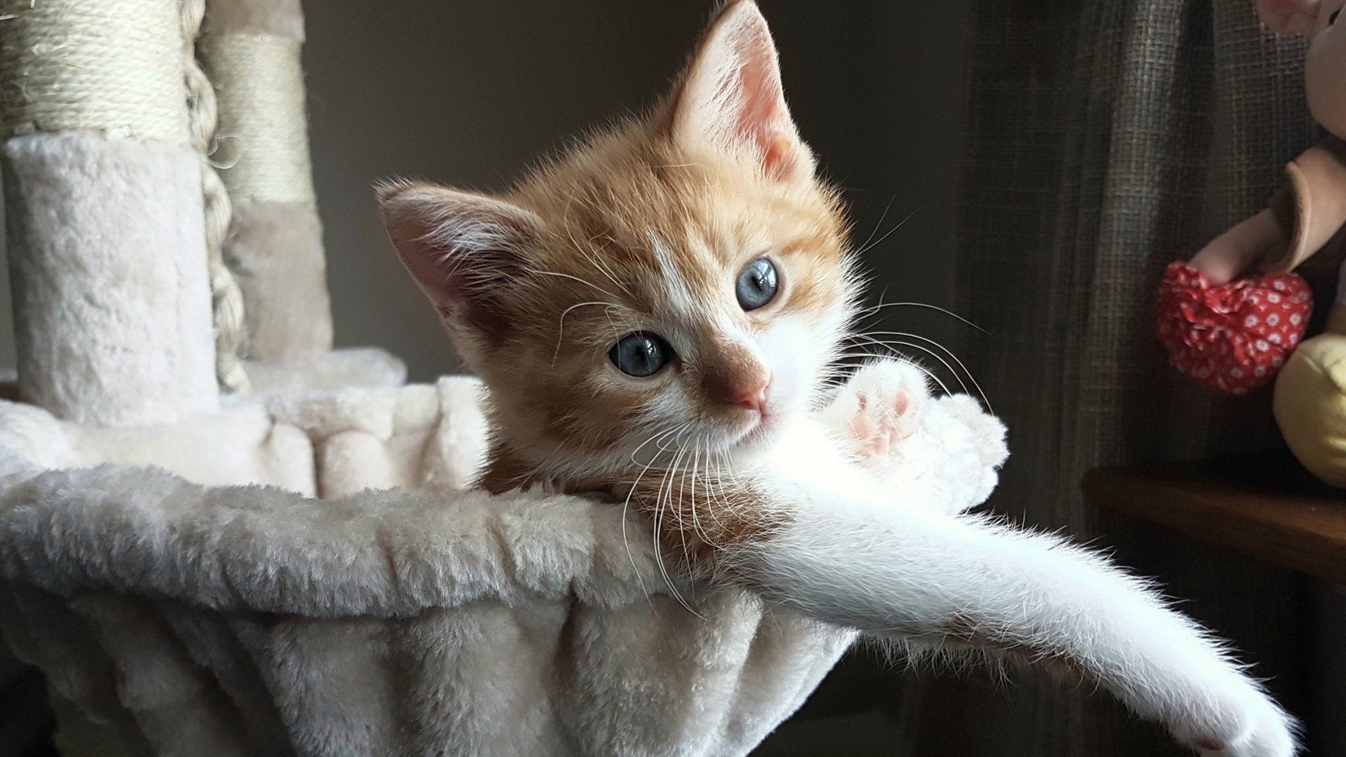 东契奇公开怒怼裁判,是情绪失控还是有理有据?,东契奇比赛