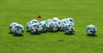 中国足球青训人才选拔科学化，中国足球青训将来的发展